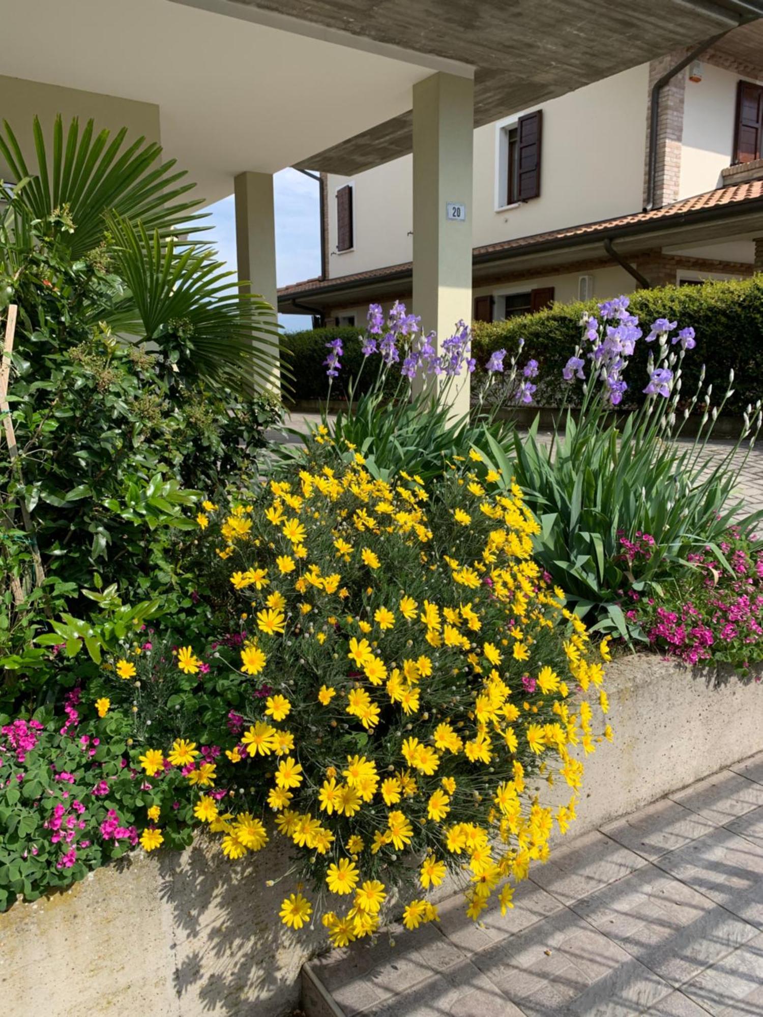 B&B La Salina Cannuzzo Zewnętrze zdjęcie